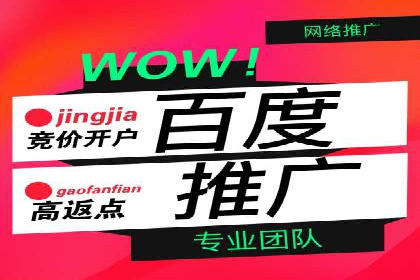 竞价广告的投放技巧与网络推广的实践